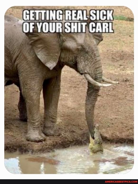 GETTING REAL SICK YOUR SHIT CARL
