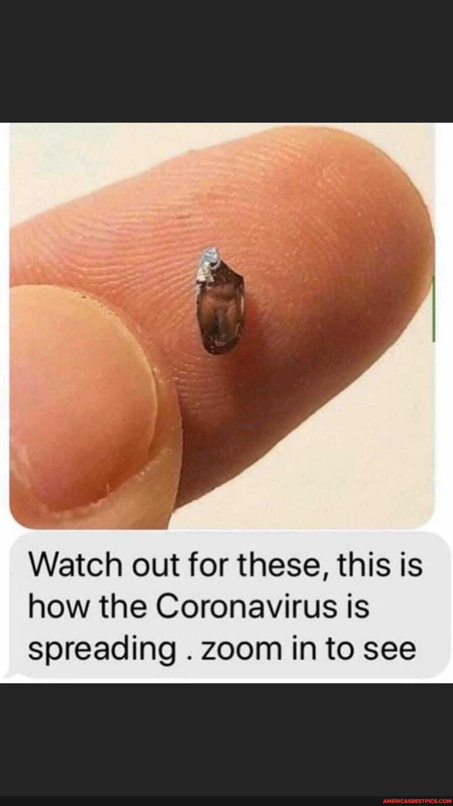 Watch out for these, this is how the Coronavirus is spreading . zoom in to see