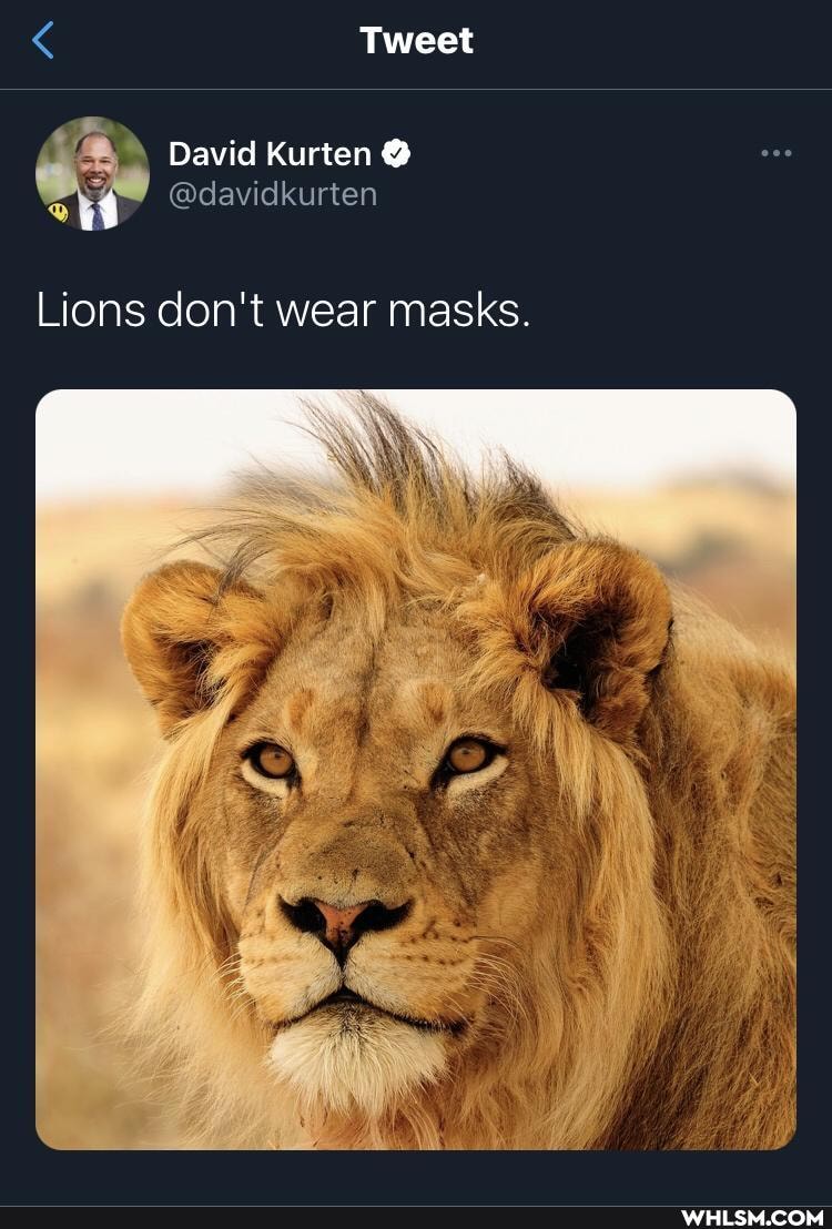 Tweet
David Kurten @
@davickurten
Lions don't wear masks.