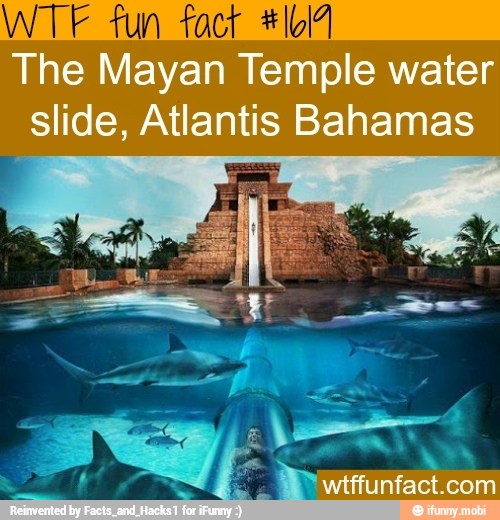 WTF fun fact #104
The Mayan Temple water
slide, Atlantis Bahamas
