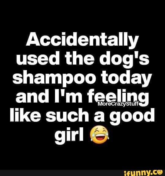 Accidentally used the dog's shampoo today and I'm feeling like such a