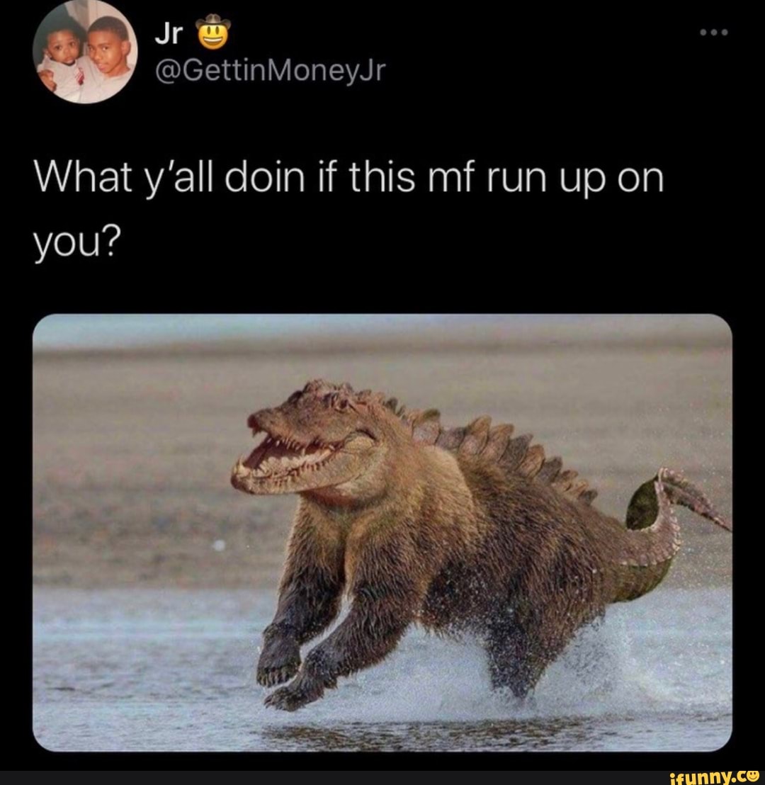 What y'all doin if this mf run up on you?
y Ry