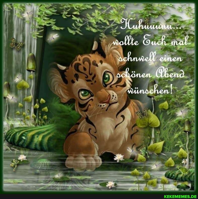 aK
he
SS
Ce
NS