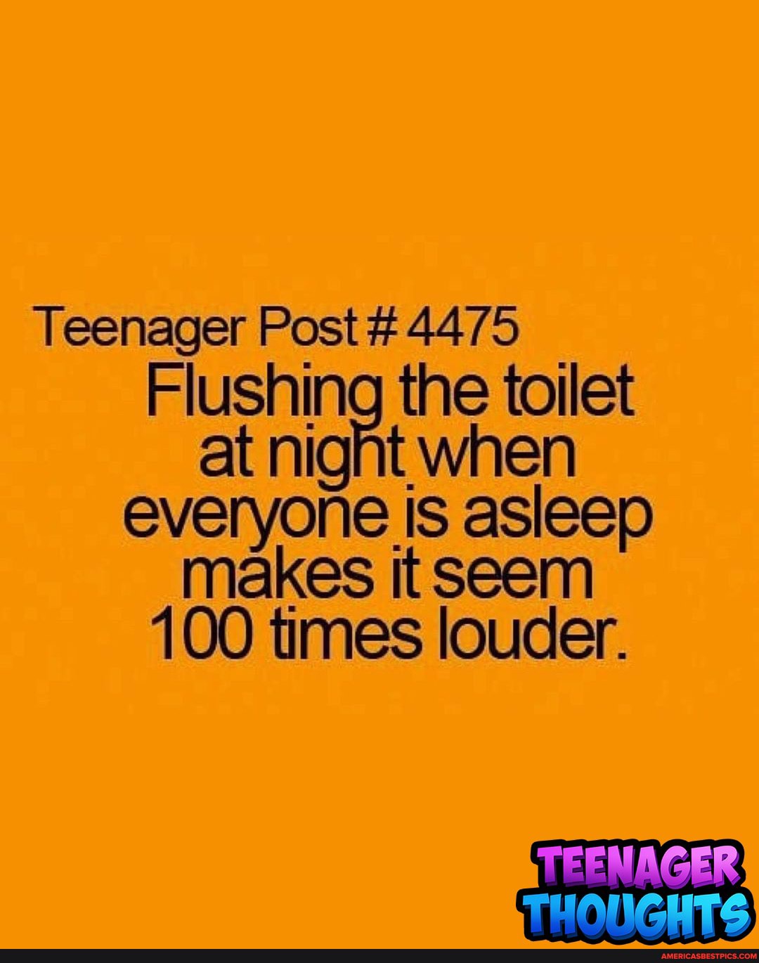 Teenager Post #4475
Flushing the toilet at night when everyone is asleep makes itseem
100 times louder.