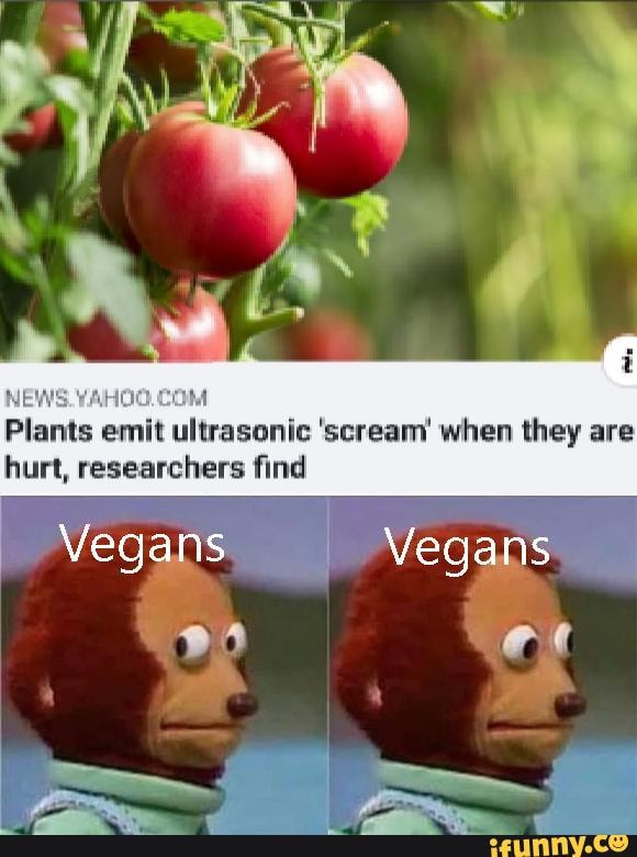 NEWS. Plants emit ultrasonic' scream when they are hurt, researchers