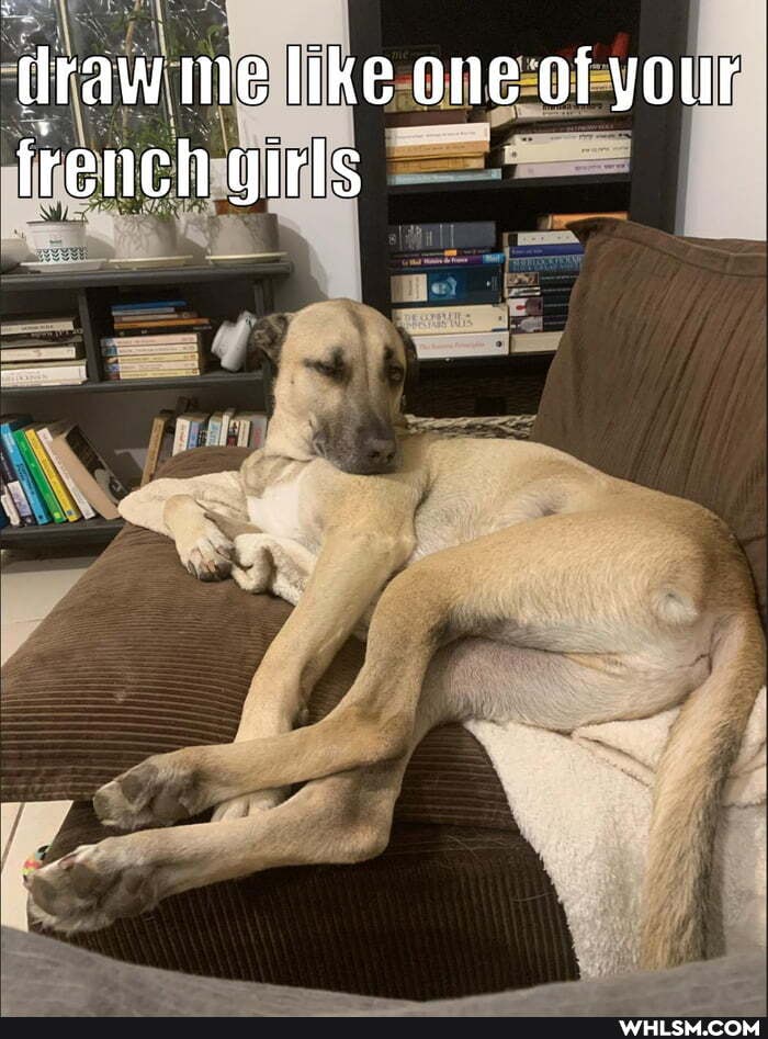 (raw me like one of your french girls