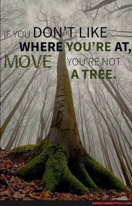 irvcgu DON'T LIKE WHERE YOU'RE AT,
Move
OUTRE NOT ATREE.