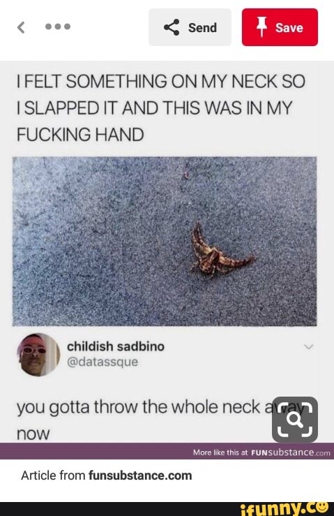 I FELT SOMETHING ON MY NECK SO
I SLAPPED IT AND THIS WAS IN MY
FUCKING HAND
you gotta throw the whole neck
à
way
now
Article from funsubstance.com