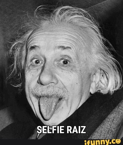 SEEFIE RAIZ