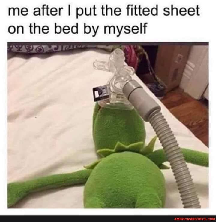 me after I put the fitted sheet on the bed by myself