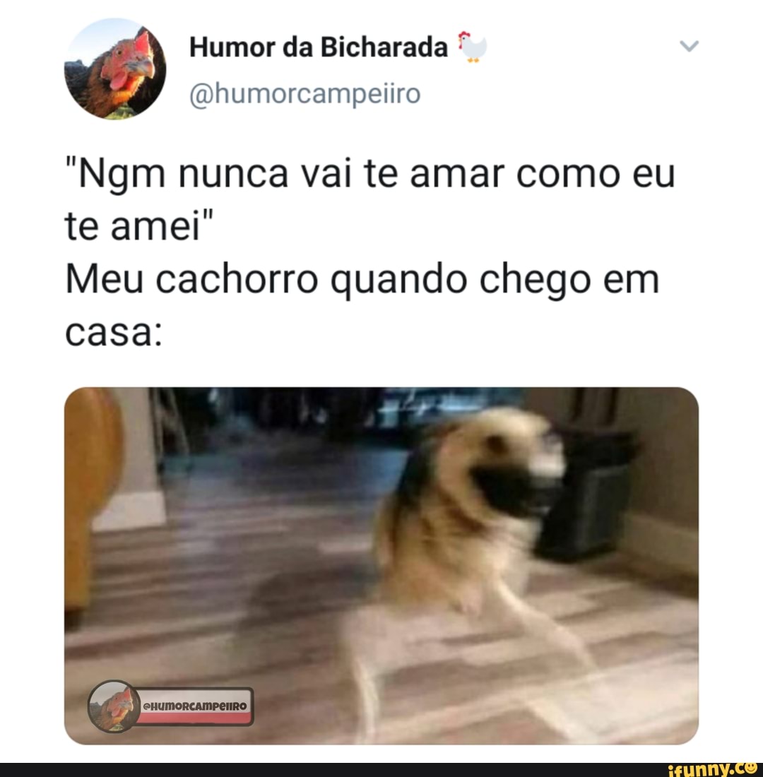 Humor da Bicharada
(Qhumorcampeliro
"Ngm nunca vai te amar como eu te amei"
Meu cachorro quando chego em casa: