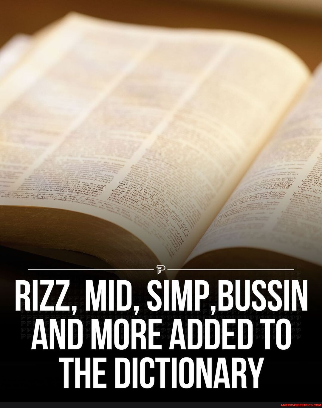 Rizz, Goated & More Added to Dictionary