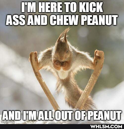 I'M HERE TO KICK ASS AND CHEW PEANUT
SAND TM ALLONUT NEPEANIIT.