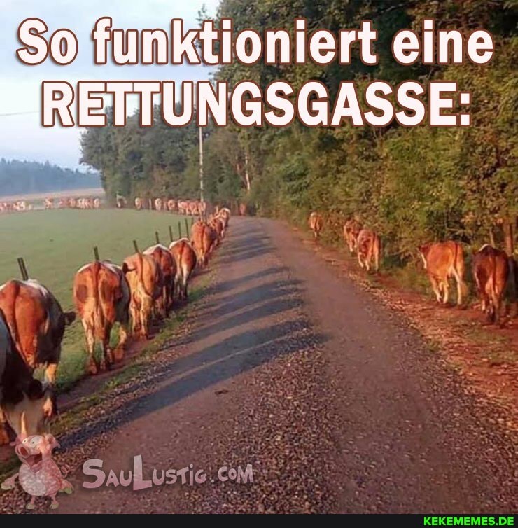 So funktioniert eine
BRETTUNGSGASSE: