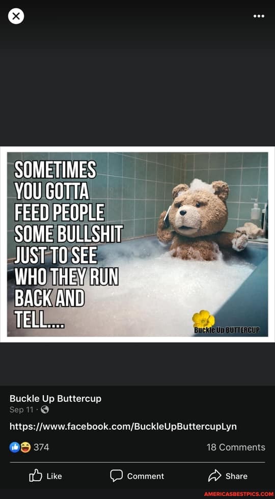 SOMETIMES YOU GOTTA FEED PEOPLE SOME BULLSHIT
JUST TO SEE WHO THEY RUN BACK AND TELL...
Buckle Up Buttercup
sep
littps: facebook
374
Like