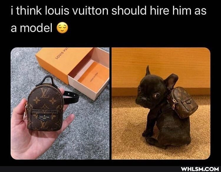 i think louis vuitton should hire him as amodel