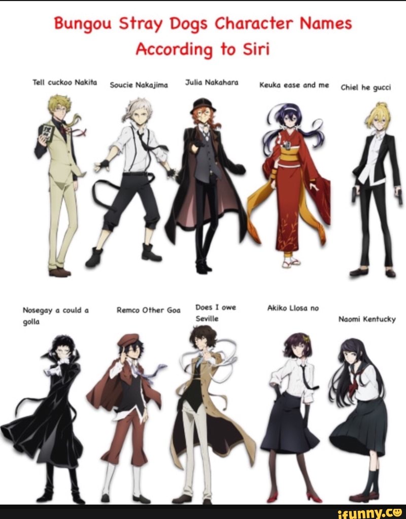 Bungou Stray Dogs Characters