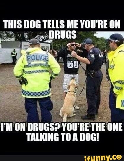 THIS DOG TELLS ME YOU'RE ON
I'M ON DRUGS? YOU'RE THE ONE TALKING TO A DOG!