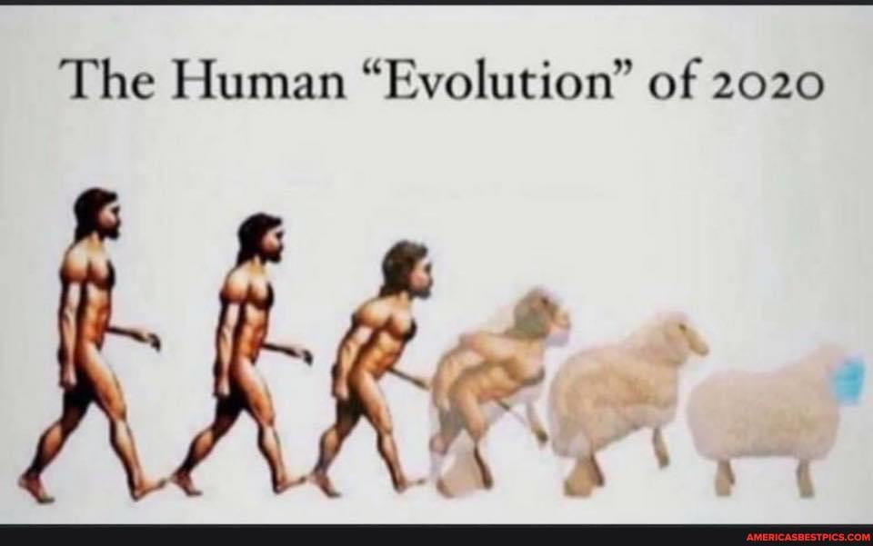 The Human "Evolution" of 2020
RR