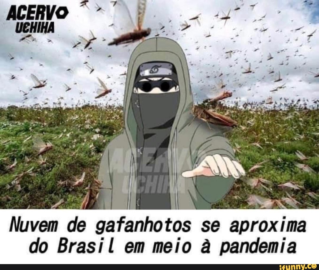 Nuvem de gafanho
toe
se
aproxima
do Brasil em meio a pandemia