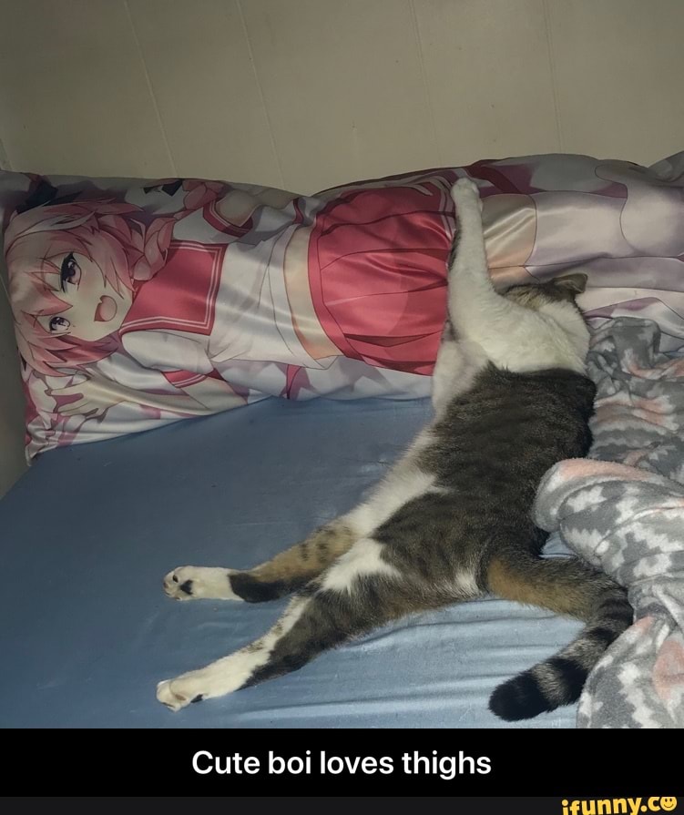 Cute boi loves thighs - Cute boi loves thighs