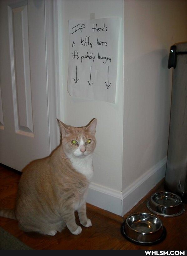 LE Hes here hungry
