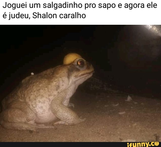 Joguei um salgadinho pro sapo e agora ele é judeu, Shalon caralho