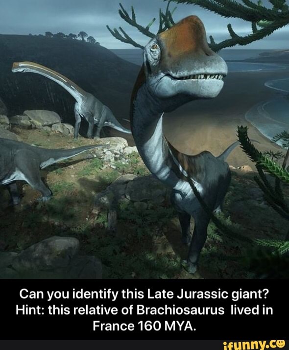 Can you identify this Late Jurassic giant?
Hint: this relative of Brachiosaurus lived in
France 160 MYA. - Can you identify this Late Jurassic giant? Hint: this relative of Brachiosaurus lived in France 160 MYA.