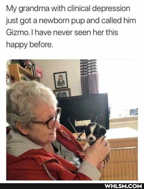 My grandma with clinical depression just got a newborn pup and called him
Gizmo. I have never seen her this happy before.