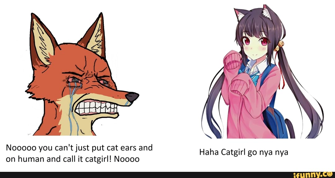 Nooooo you can't just put cat ears and on human and call it catgirl! 