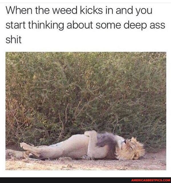When the weed kicks in and you start thinking about some deep ass shit