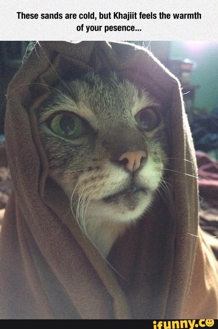 These sands are cold, but Khajiit feels the warmth of your pesence...