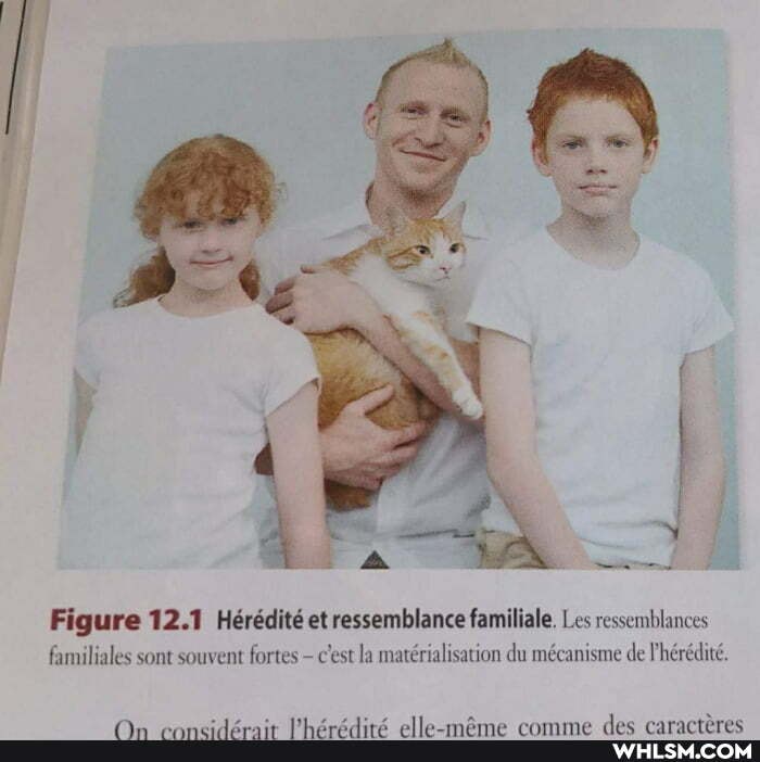 Figure 12.1 Hrdite et resemblance familiale. Les resemblances familiales sont souvent fortes c'est la du mcanisme de Phredite.