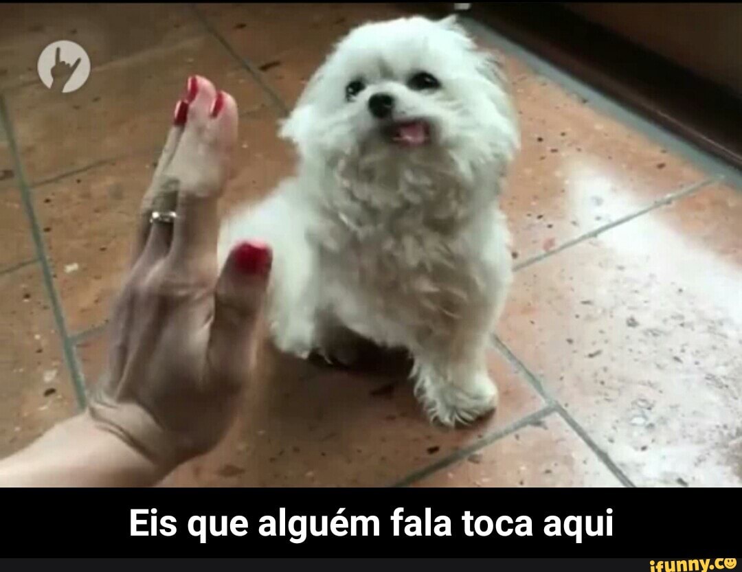 Eis que alguém fala toca aqui - Eis que alguém fala toca aqui