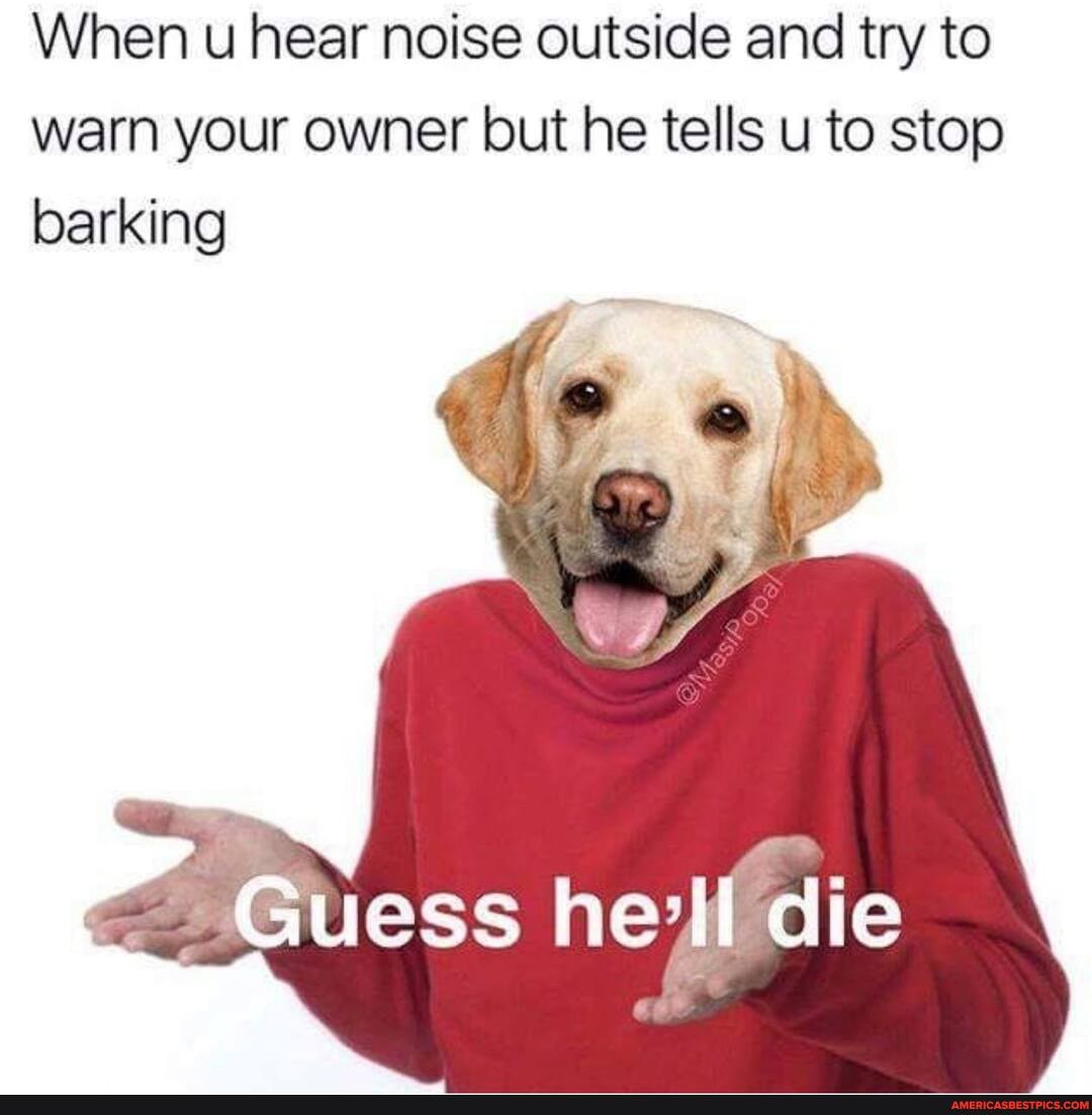 When u hear noise outside and try to warn your owner but he tells u to stop barking
Guess