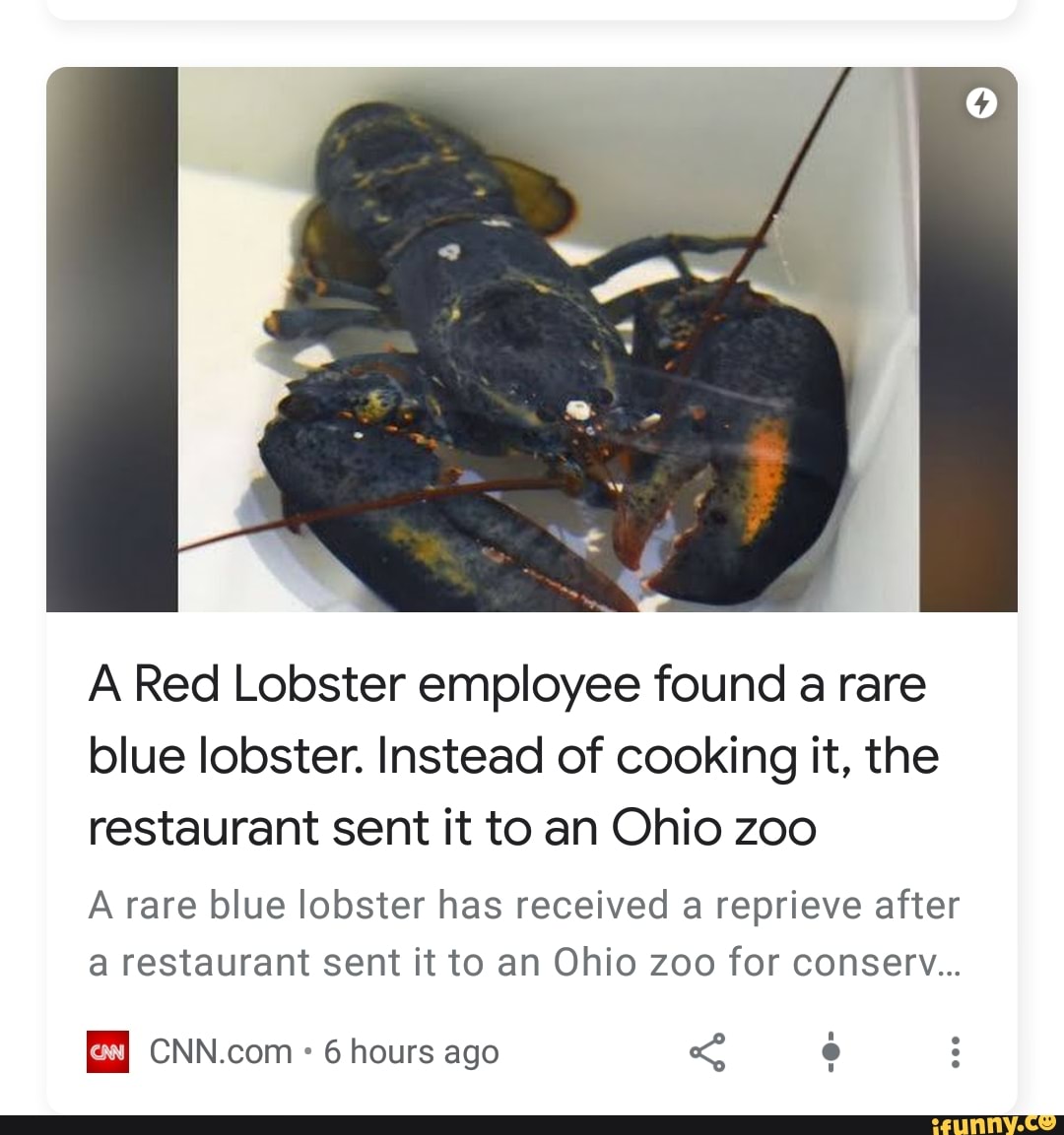 A Red Lobster employee found a rare
blue lobster. Instead of cooking it, the
restaurant sent it to an Ohio zoo
A rare blue lobster has received a reprieve after
a restaurant sent it to an Ohio zoo for conserv...
EJ CNN.com
6 hours ago