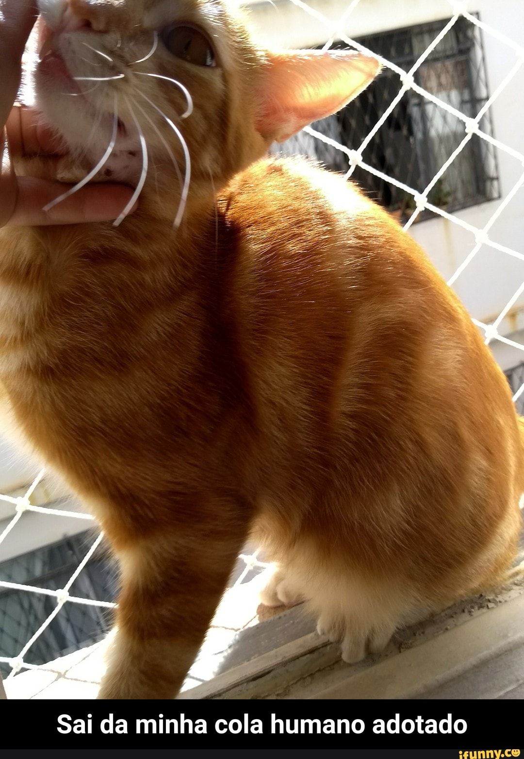 Sai da minha cola humano adotado