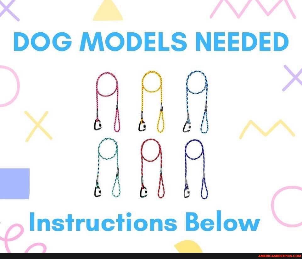 rN DOG MODELS NEEDED
Instructions Below