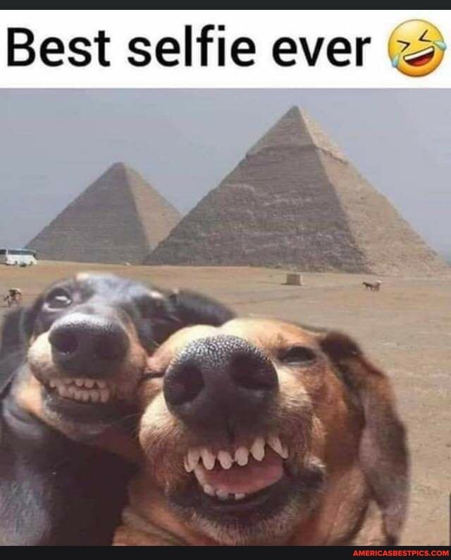Best selfie ever