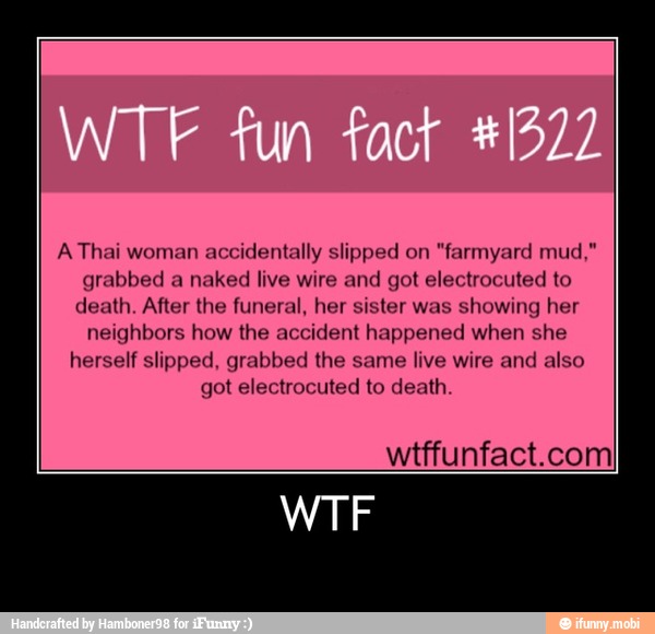 A Thai woman
accidentally slipped on "farmyard mud,"
grabbed a naked live wire and got electrocuted to
death. After the funeral, her sister was showing her
neighbors how the accident happened when she
herself slipped, grabbed the same live wire and also
got electrocuted to death
wtffunfact.com - WTF