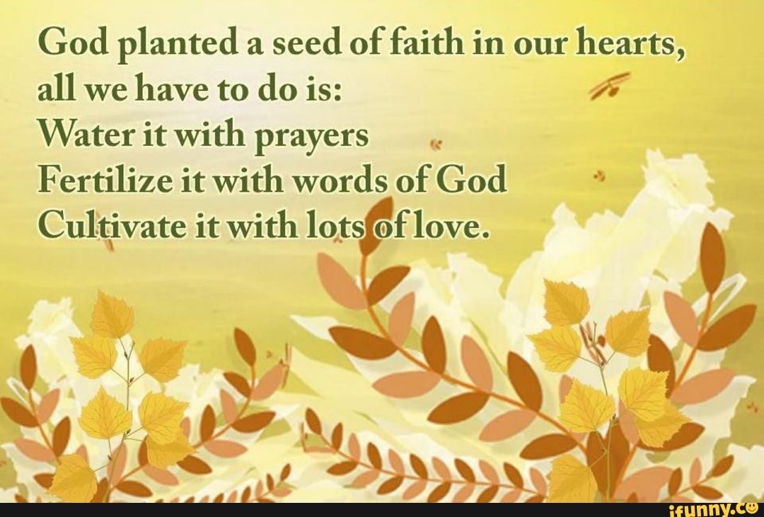 God planted a
seed of faith in our
hearts,
all we
have to do is: Hi
Water it with prayers
Fertilize it with words of God 2
Cultivate it with lotsfoflove.