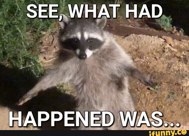 SEE, WHAT HAD HAPPENED WAS... - iFunny