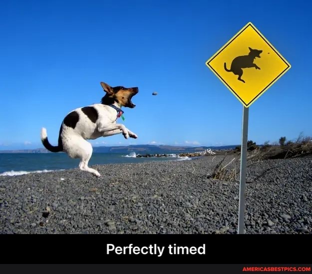 Perfectly timed - Perfectly timed