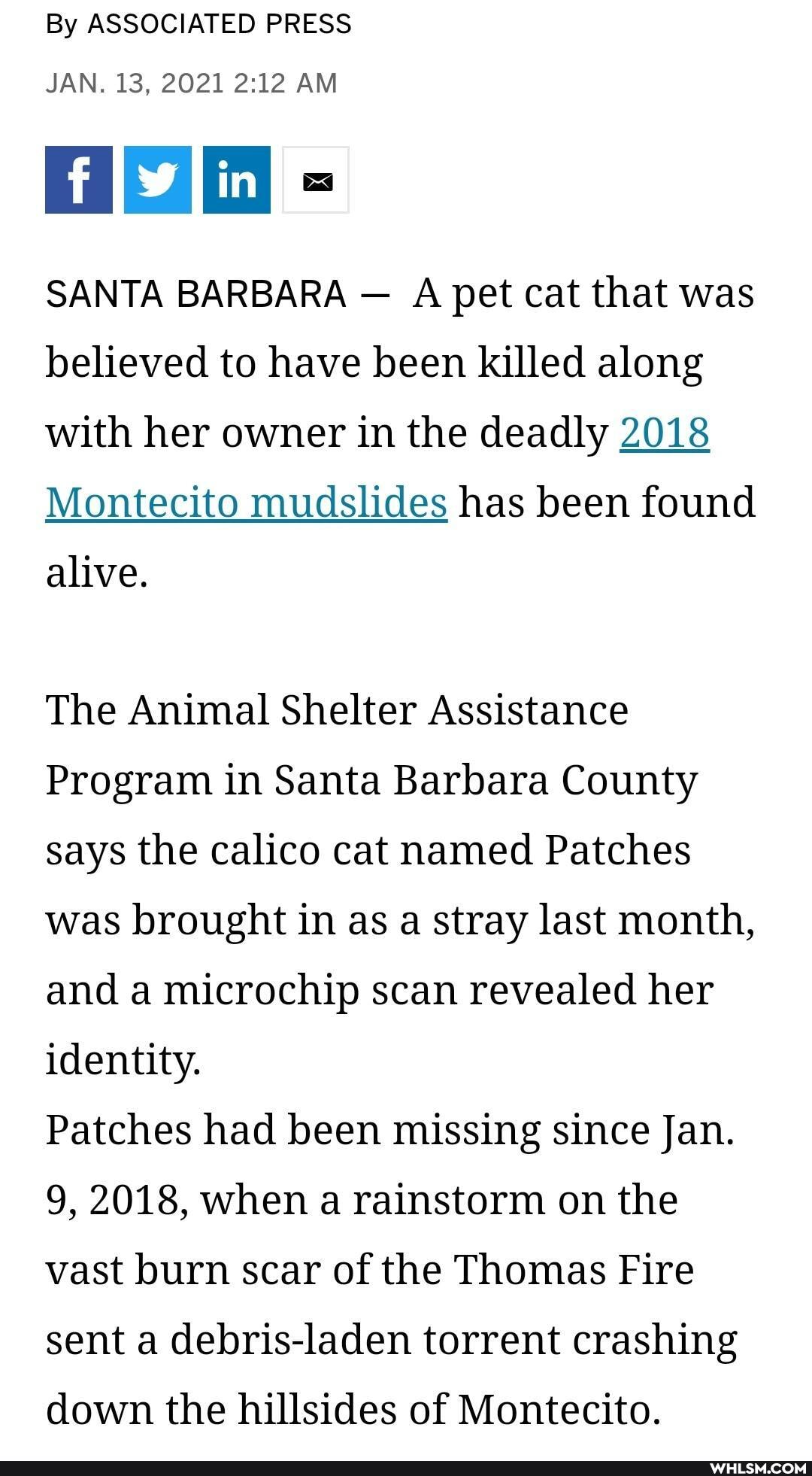 By ASSOCIATED PRESS
JAN. 13, 2021 AM
SANTA BARBARA - A pet cat that was believed to have been killed along with her owner in the deadly 2018
Montecito mudslides has been found
alive.
The Animal Shelter Assistance
Program in Santa Barbara County says the calico cat named Patches was brought in as a stray last month, and a microchip scan revealed her identity.
Patches had been missing since Jan.
9, 2018, when a rainstorm on the vast burn scar of the Thomas Fire sent a debris-laden torrent crashing
down the hillsides of Montecito.