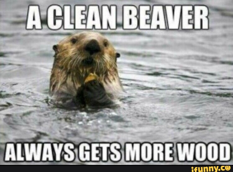 A CLEAN BEAVER ALWAYS GETS MORE - iFunny