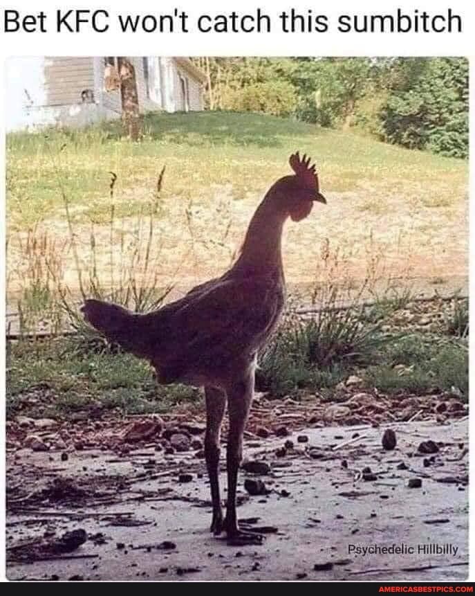 is sumb
catch th
Bet KFC won'