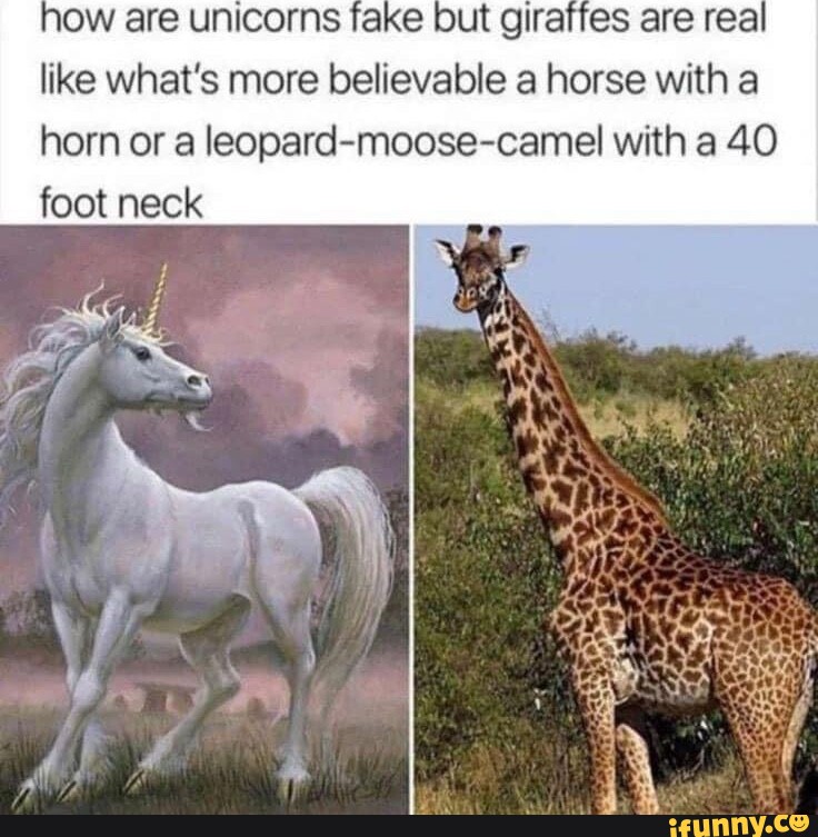Ow are unicorns fake but giraffes are real like what's more believable