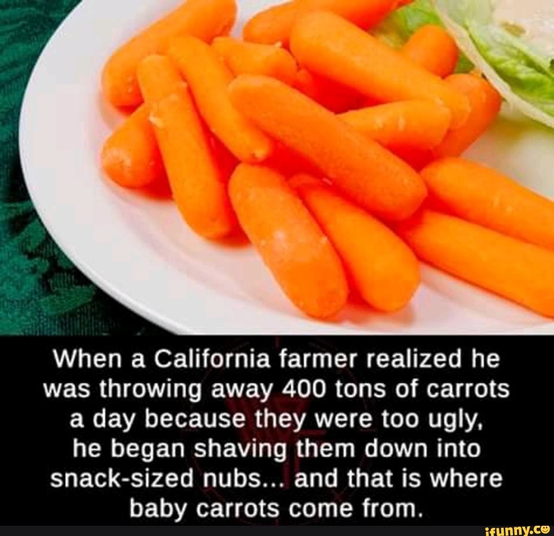 When a California farmer realized he
was throwing away 400 tons of carrots
a day because they were too ugly,
he began shaving them down into
snack-sized nubs... and that is where
baby carrots come from.