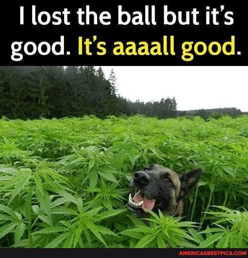 lost the ball but it's good. It's aaaall good.