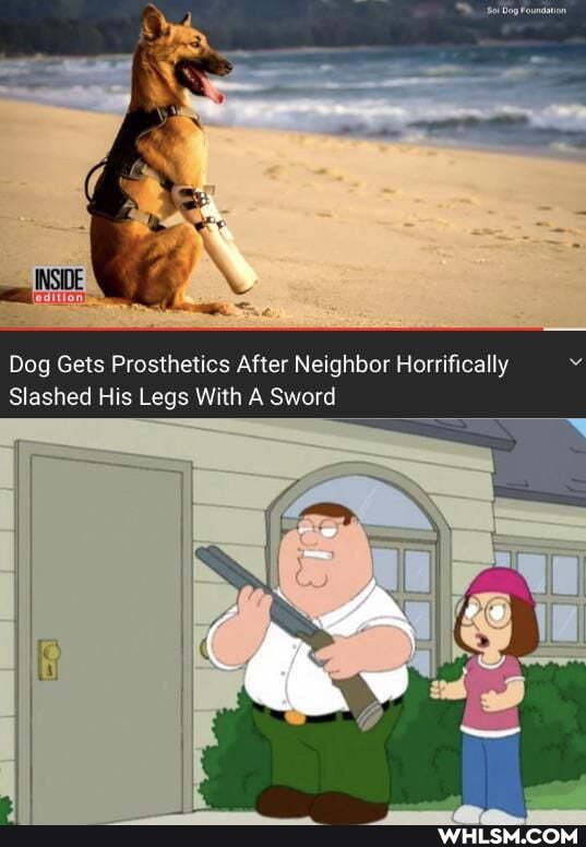 Dog Gets Prosthetics After Neighbor Horrifically
Slashed His Legs With A Sword